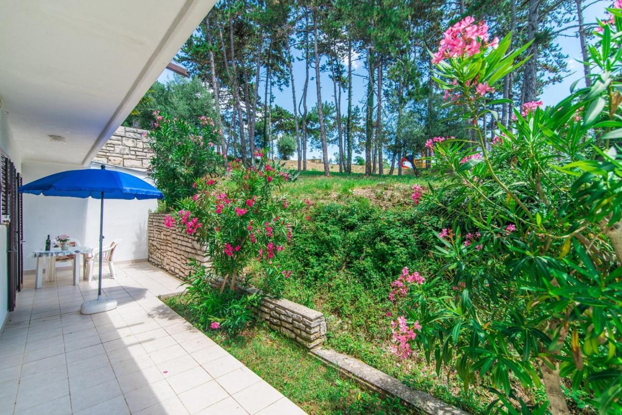 Apartments Pino Rabac Exterior photo